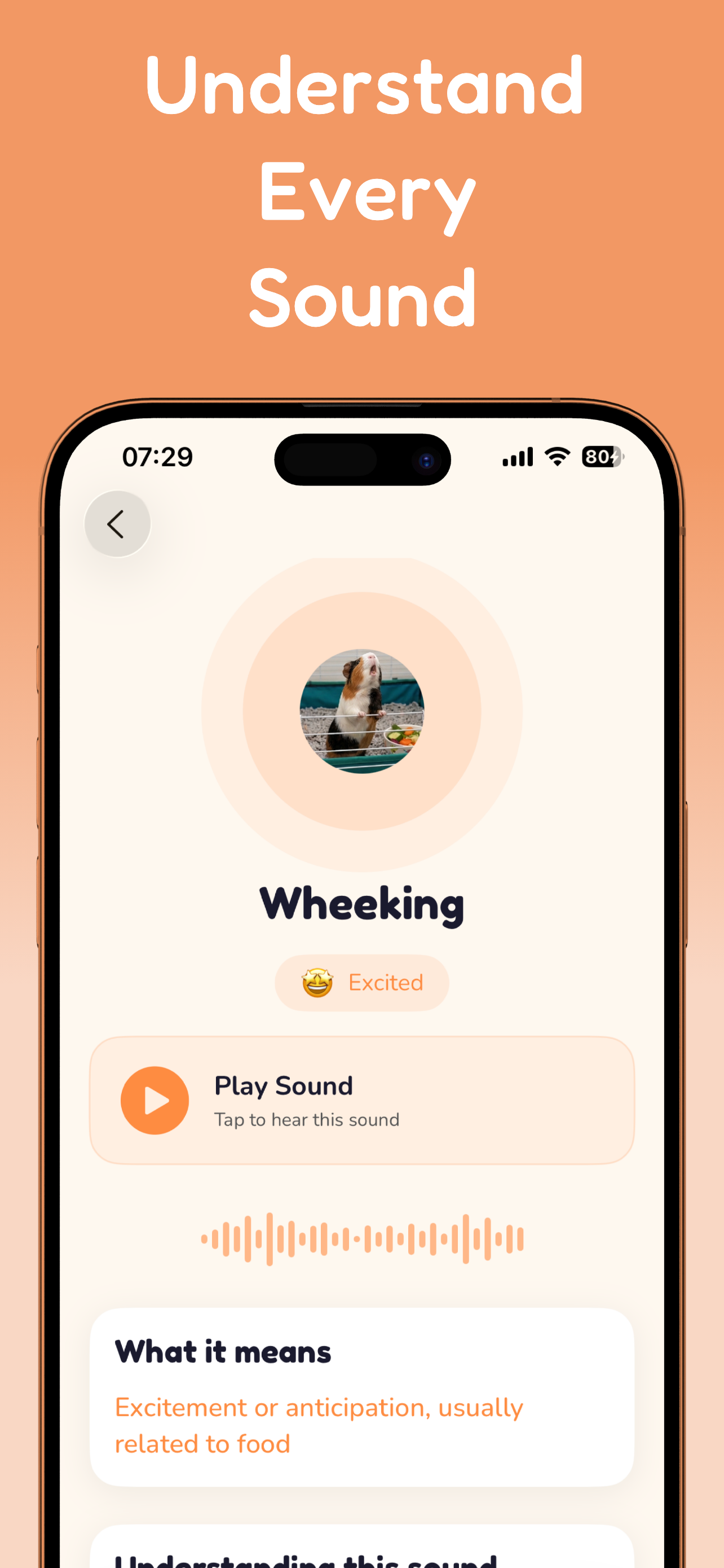 Wheeky Screenshot 3